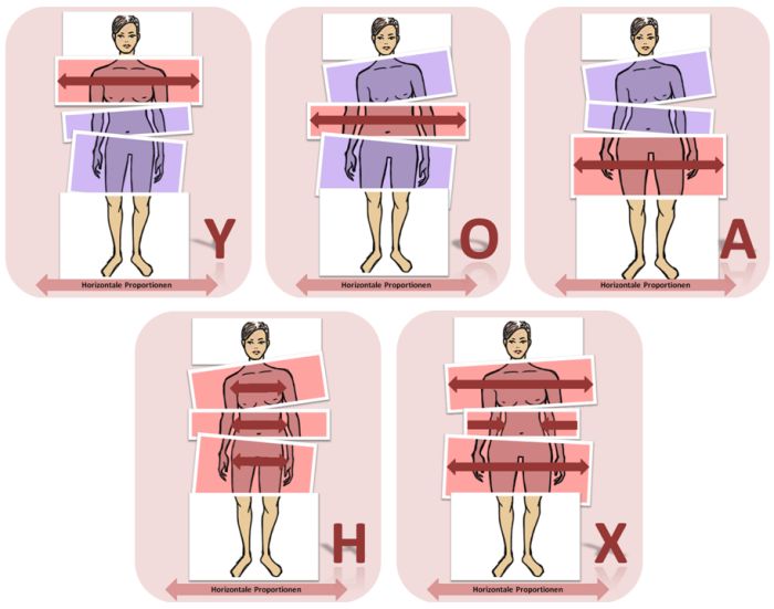 figurtypen-proportionen-horizontal-700-komp